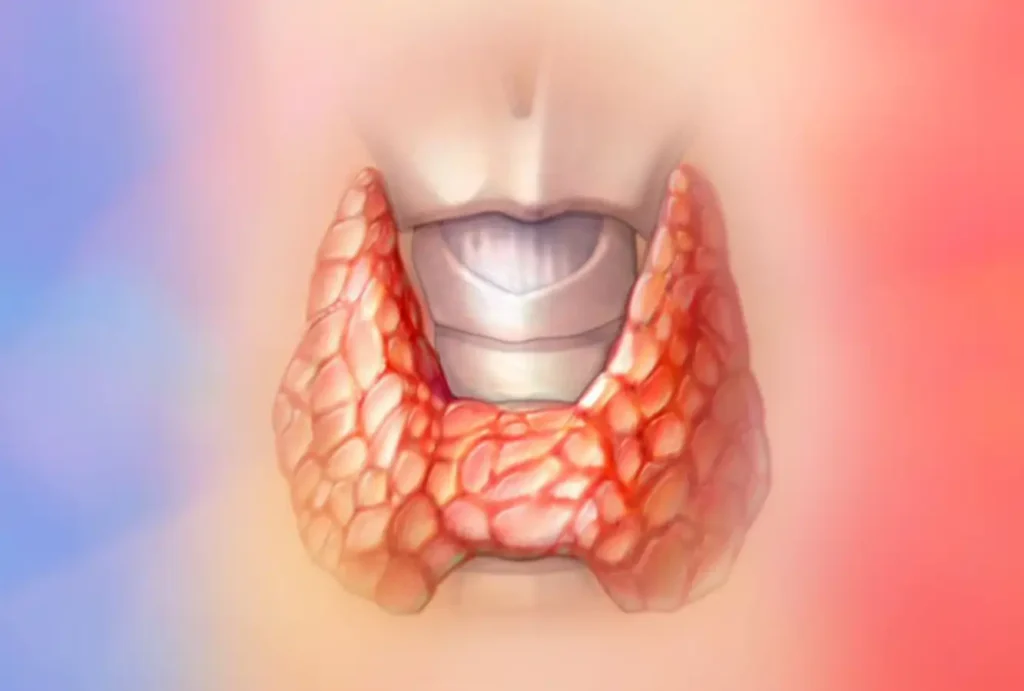 thyroid function test victoria islands